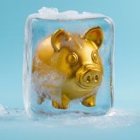 frozen piggy bank 