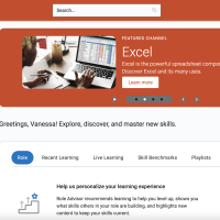 New Skillsoft homepage