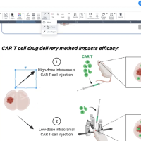 Screenshot on BioRender Grants