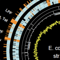 DNASTAR screenshot