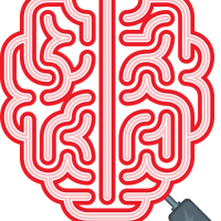 Brain Logo For Smartfest