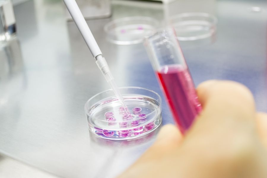 Gloved hand with a testtube, pipette and petri dish and magenta liquid in each. 