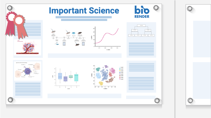 Oct. 31: Creating Research Posters With BioRender | Information ...