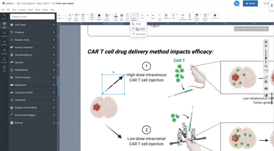 Screenshot on BioRender Grants