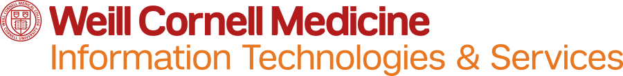 ITS Logo