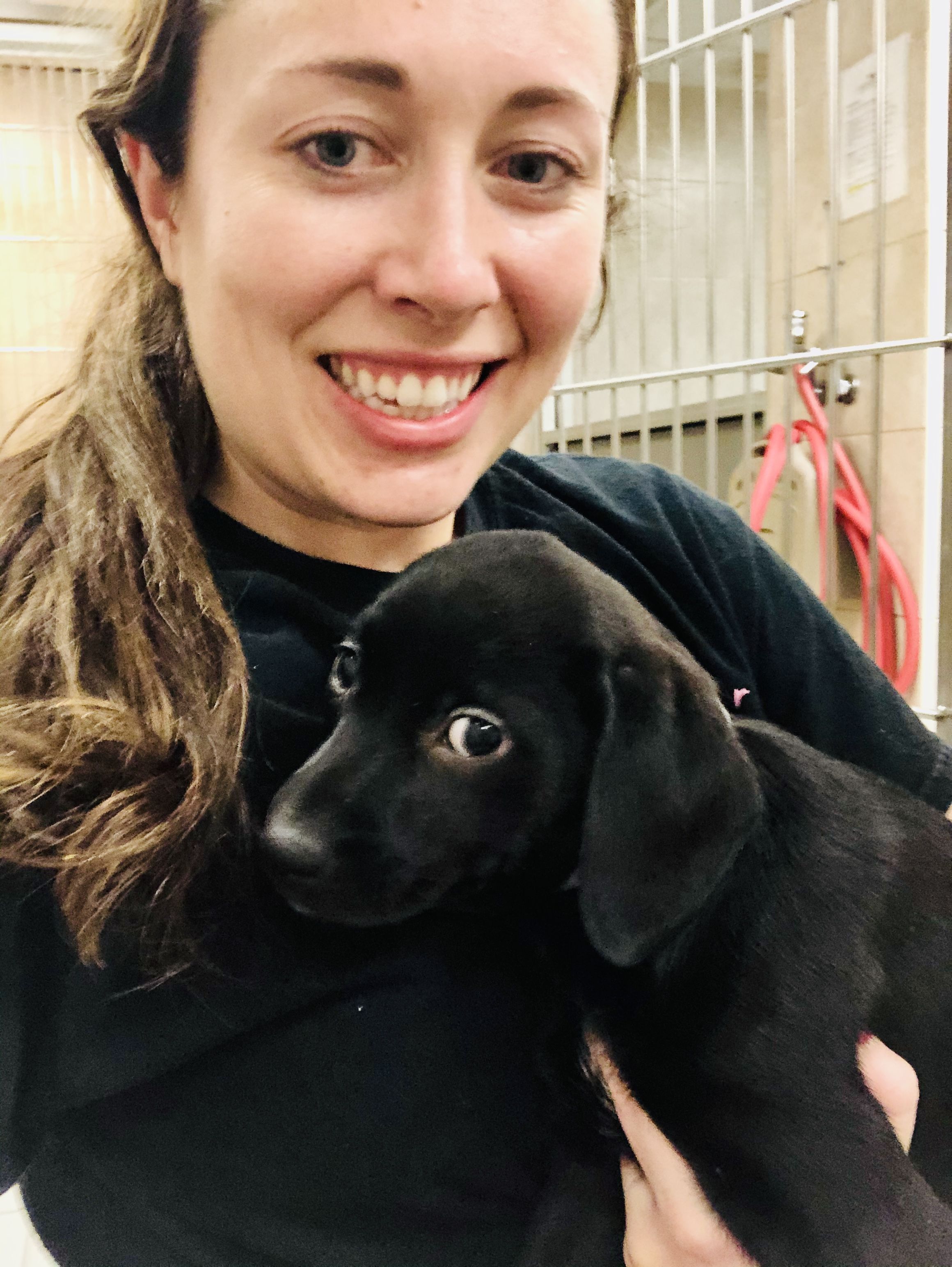 Allie Smith holds a small black dog at the Bideawee Animal Shelter.