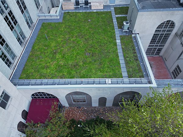 Drone POV of green space