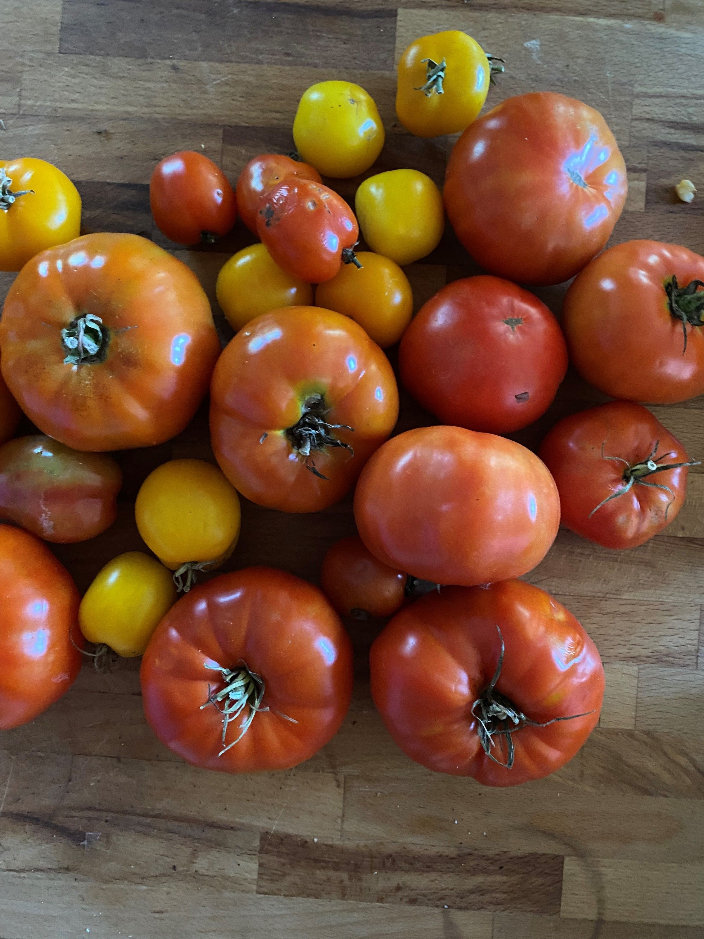 last of the season tomatoes