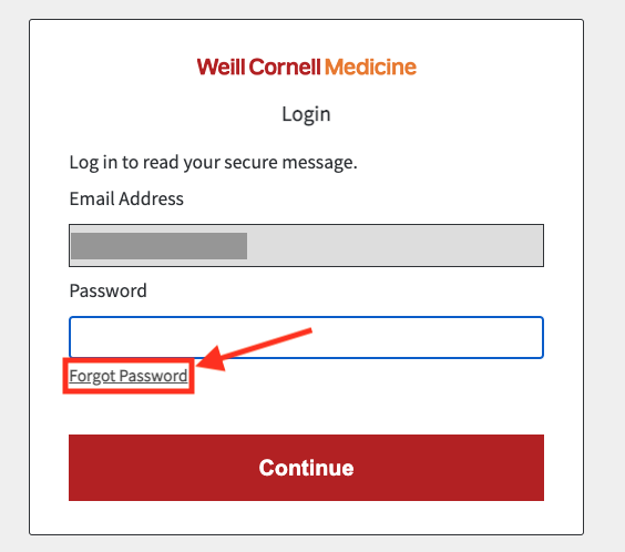 reset secure email password