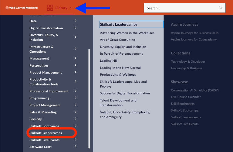 Screenshot of Leadercamp link in Skillsoft