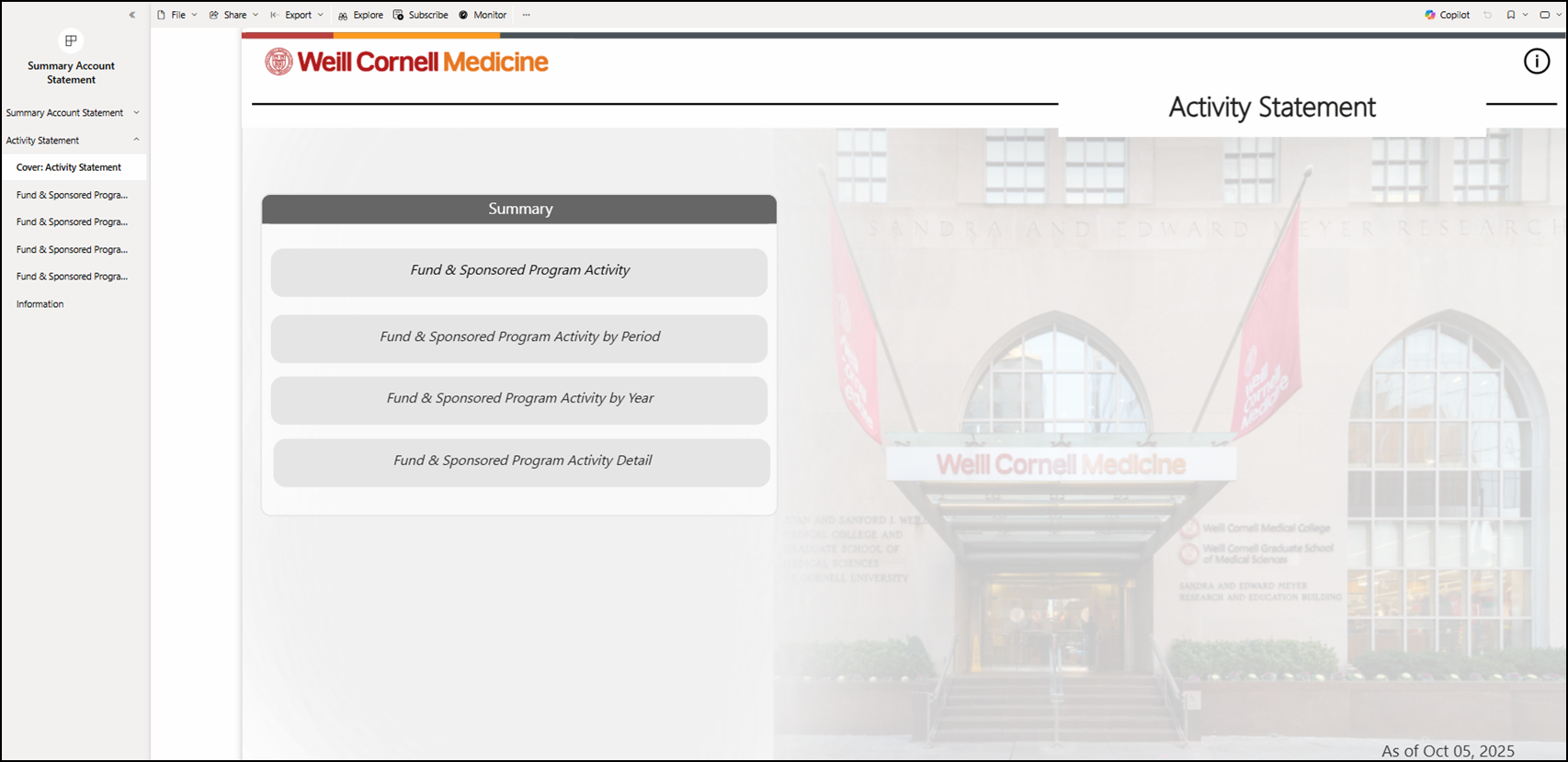 summary account statement activity statement