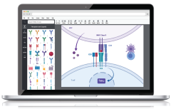 Laptop with BioRender application displayed