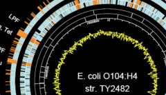 DNASTAR screenshot