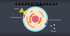 Zoom annotation screenshot