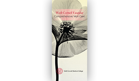 4 Panel Brochure